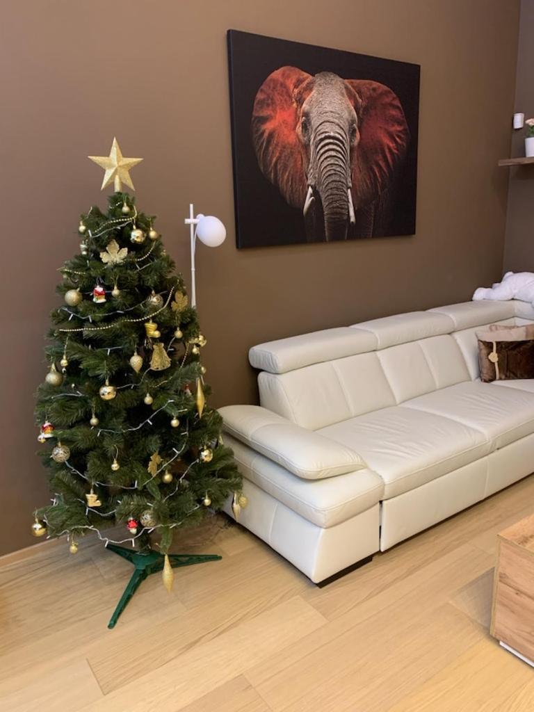 Apartment Dagmar Buresove Prag Dış mekan fotoğraf